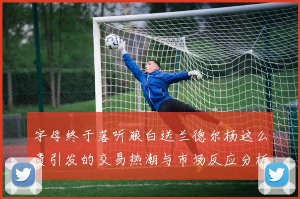 字母终于落听狼白送兰德尔杨这么贵引发的交易热潮与市场反应分析